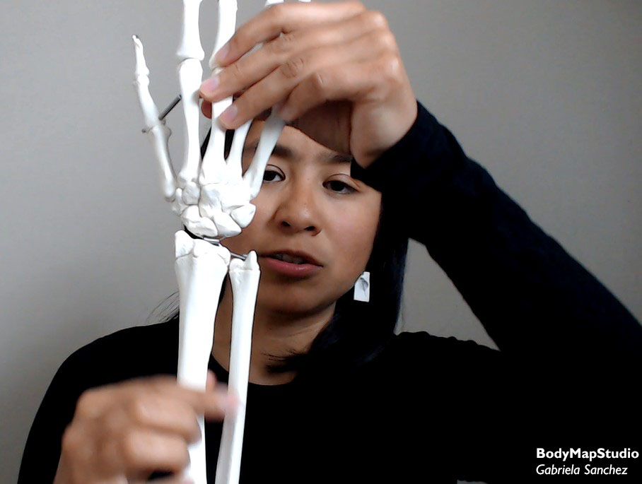Gabriela showing the hand structure with an anatomical model.
